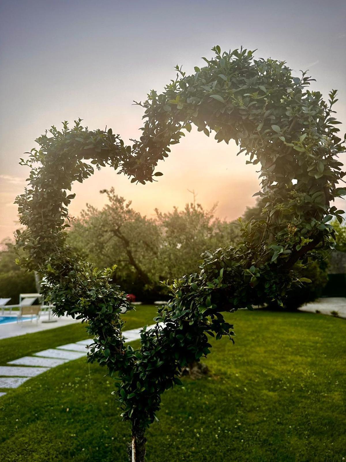 Agriturismo Dell'Orto Apartments Verona Exterior photo